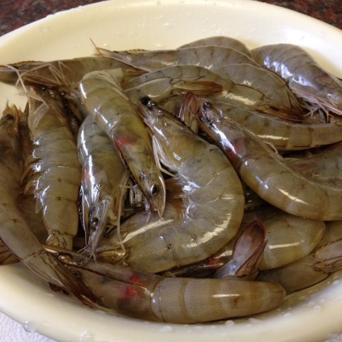 203458912_a84739fadaae7157ebb22f