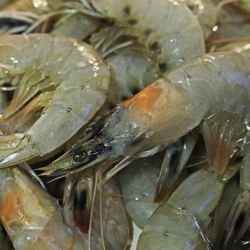 43b916f51c4824d53b85fcc853bf9f39