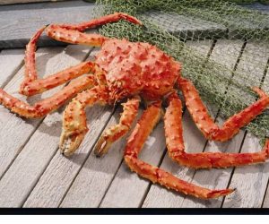 bkO56dytqx3ZlTebXuxaCYgL1KWRQQXX