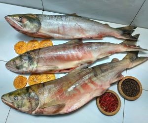 img-20241010-104823-2